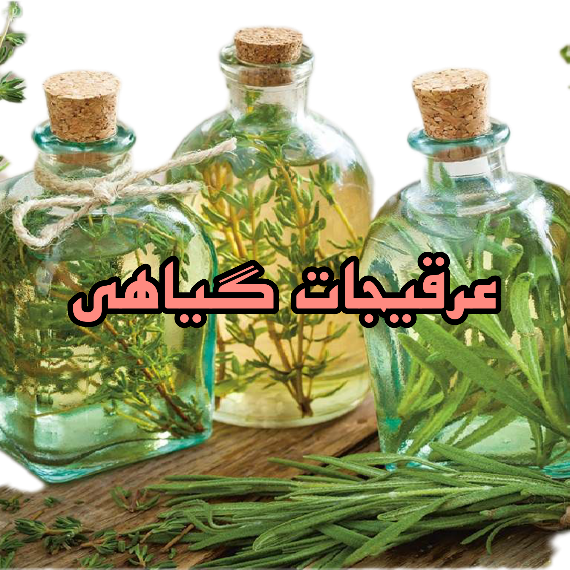 عرقیجات گیاهی