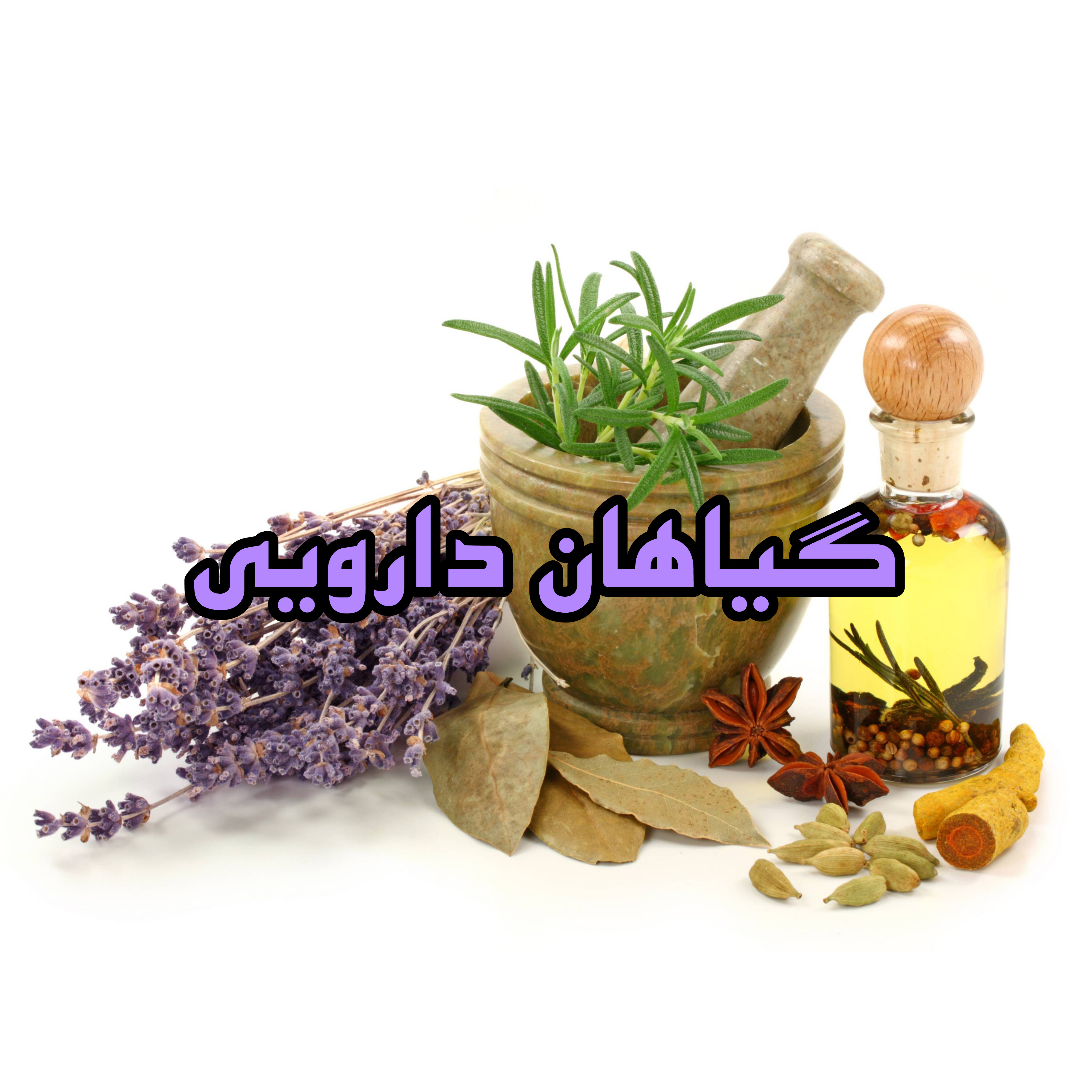 گیاهان دارویی