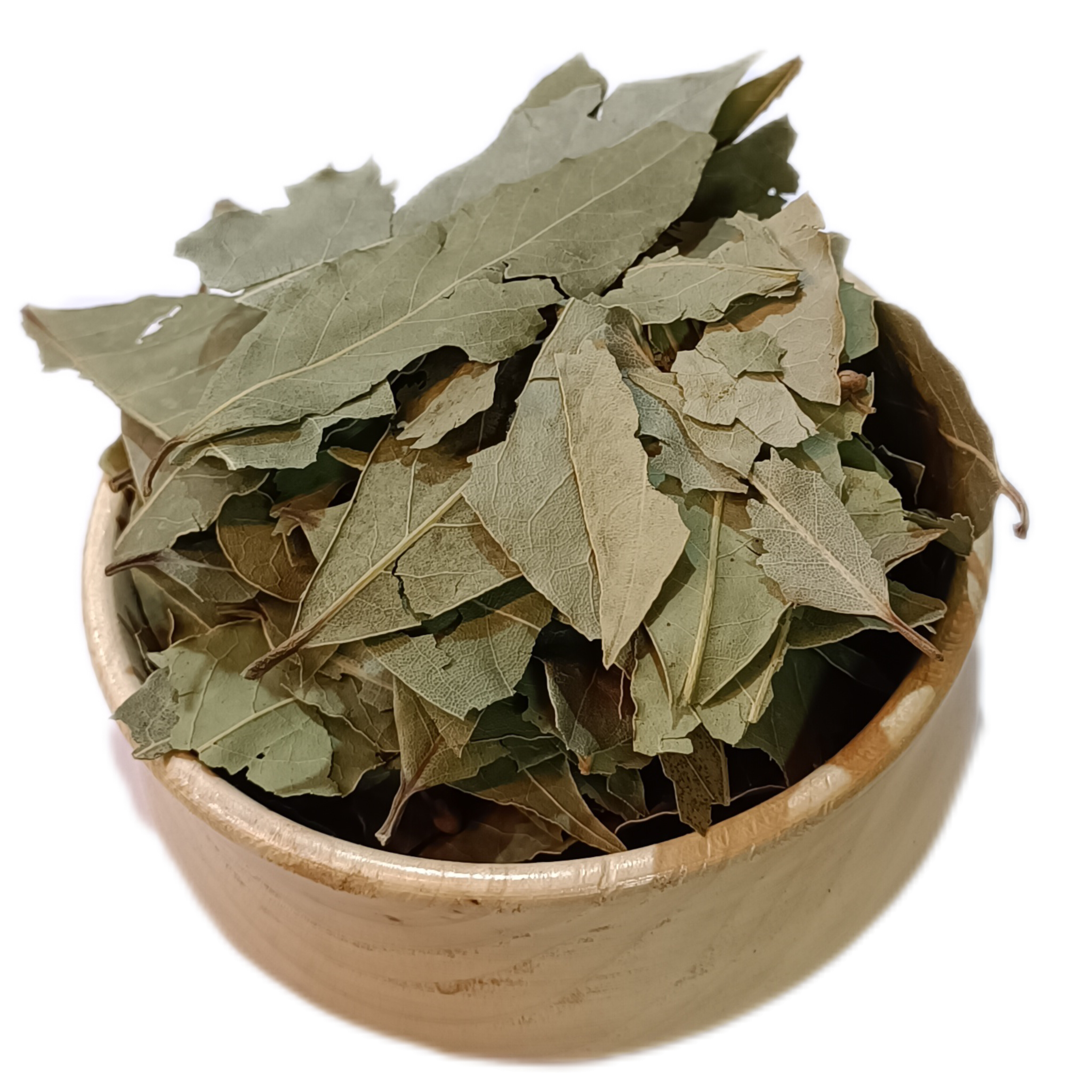 برگ سنا