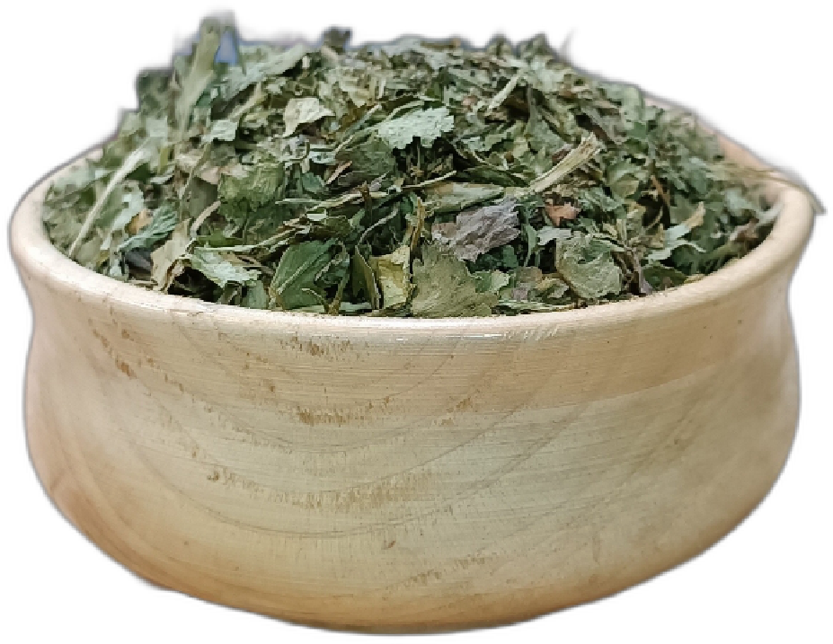 گشنیز خشک